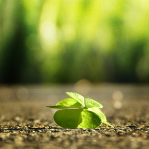 Energianvälitys 30 min