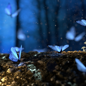 Tärkeä kysymys tähän hetkeen